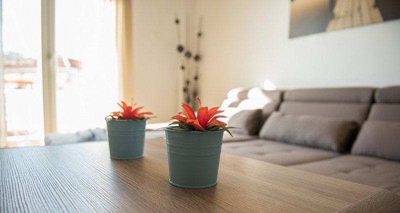 Apartments Michalis 3 — фотографија 2