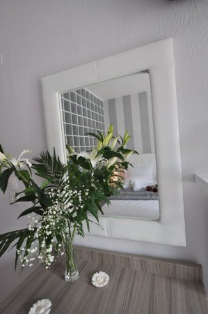 Anemoni — foto 3