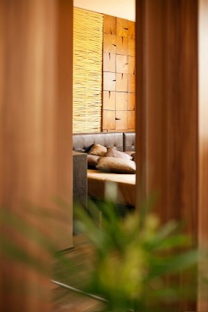 Snow Fox Secret Penthouse In a SPA hotel with Beautiful VIews — foto 3