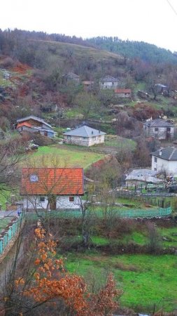 Villa Perule — фотографија 2