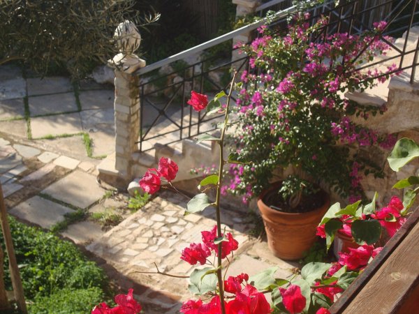 CHARMING COUNTRY COTTAGE BY TH SEA — foto 3