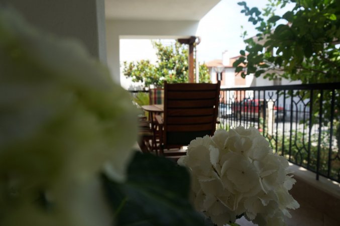 Magnolia — fotoğraf 2