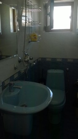 СТАЯ 3 — foto 2