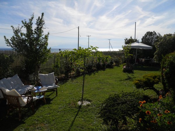 Efi's cozy house Nea Plagia — снимка 1